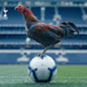 Meet your Posher, Johnny